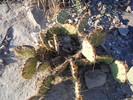photo thumbnail #13