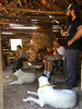 photo thumbnail #10