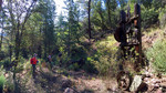 photo thumbnail #3