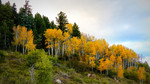 photo thumbnail #13
