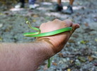 photo thumbnail #3