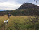 photo thumbnail #2