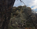 photo thumbnail #3