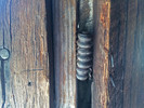 photo thumbnail #10