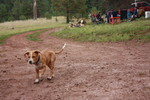 photo thumbnail #8