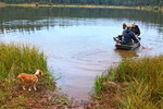 photo thumbnail #9