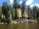 photo thumbnail #1