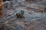 photo thumbnail #13