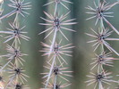 photo thumbnail #1