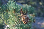photo thumbnail #8