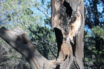 photo thumbnail #9