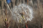 photo thumbnail #13