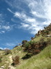 photo thumbnail #3