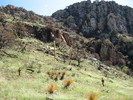 photo thumbnail #5