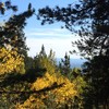 photo thumbnail #12