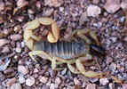 photo thumbnail #3