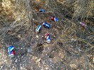 photo thumbnail #2