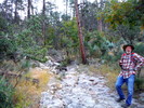 photo thumbnail #2