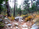 photo thumbnail #3