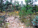 photo thumbnail #4