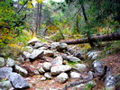 photo thumbnail #6