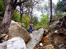 photo thumbnail #8