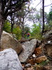 photo thumbnail #9