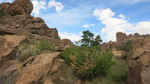 photo thumbnail #8