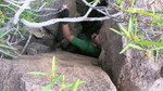 photo thumbnail #10