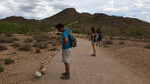 photo thumbnail #1