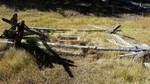 photo thumbnail #10