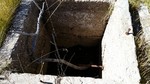 photo thumbnail #11