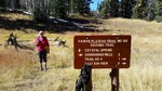 photo thumbnail #12