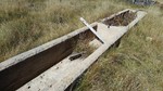 photo thumbnail #13