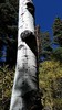 photo thumbnail #15
