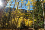 photo thumbnail #14
