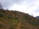 photo thumbnail #8