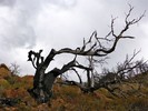 photo thumbnail #9