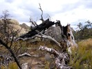 photo thumbnail #11