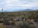 photo thumbnail #2