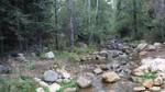 photo thumbnail #12