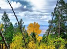 photo thumbnail #2