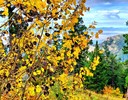 photo thumbnail #10