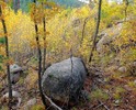 photo thumbnail #12