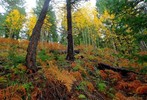 photo thumbnail #13