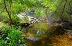 photo thumbnail #4