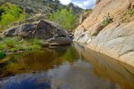 photo thumbnail #6