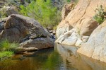 photo thumbnail #7