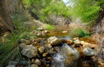photo thumbnail #10