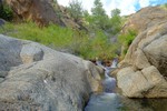 photo thumbnail #13